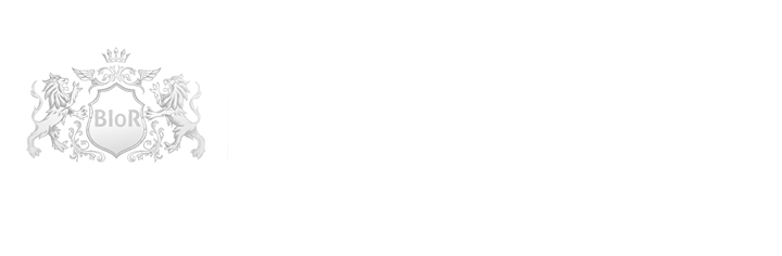 Professional Recruitment Business