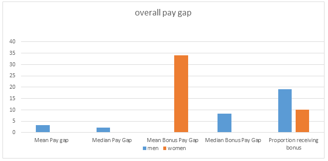 Overall Pay Gap Graph